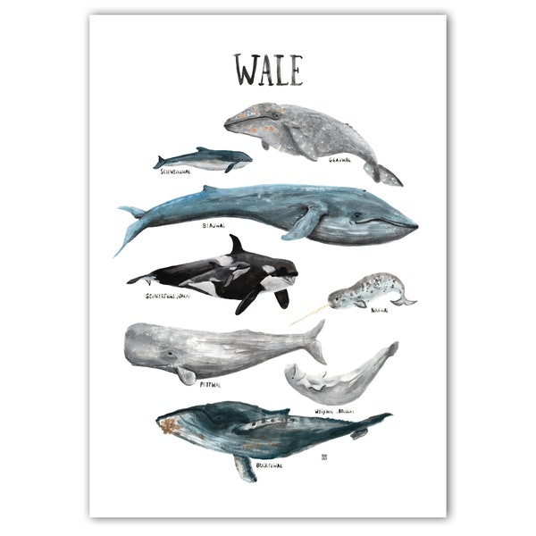 DEUTSCH gedrucktes Poster A2 A3 Kinderzimmer Wale Ozean Walfische Meere Tieren Natur Wohnung Kinder Illustrationen Dekoration Aquarell