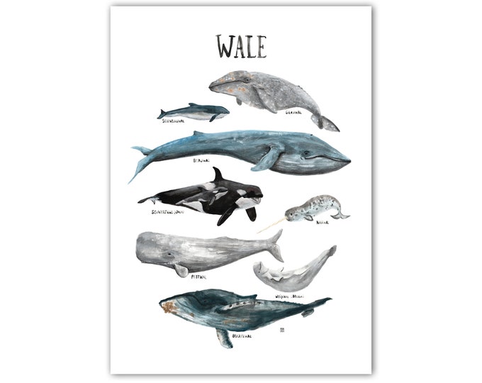 German printed poster A2 A3 children's room whales ocean whales seas animals nature apartment children illustrations decoration watercolor