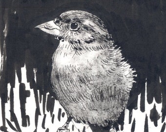 May include: A black and white ink drawing of a sparrow perched on a branch, with a dark background.