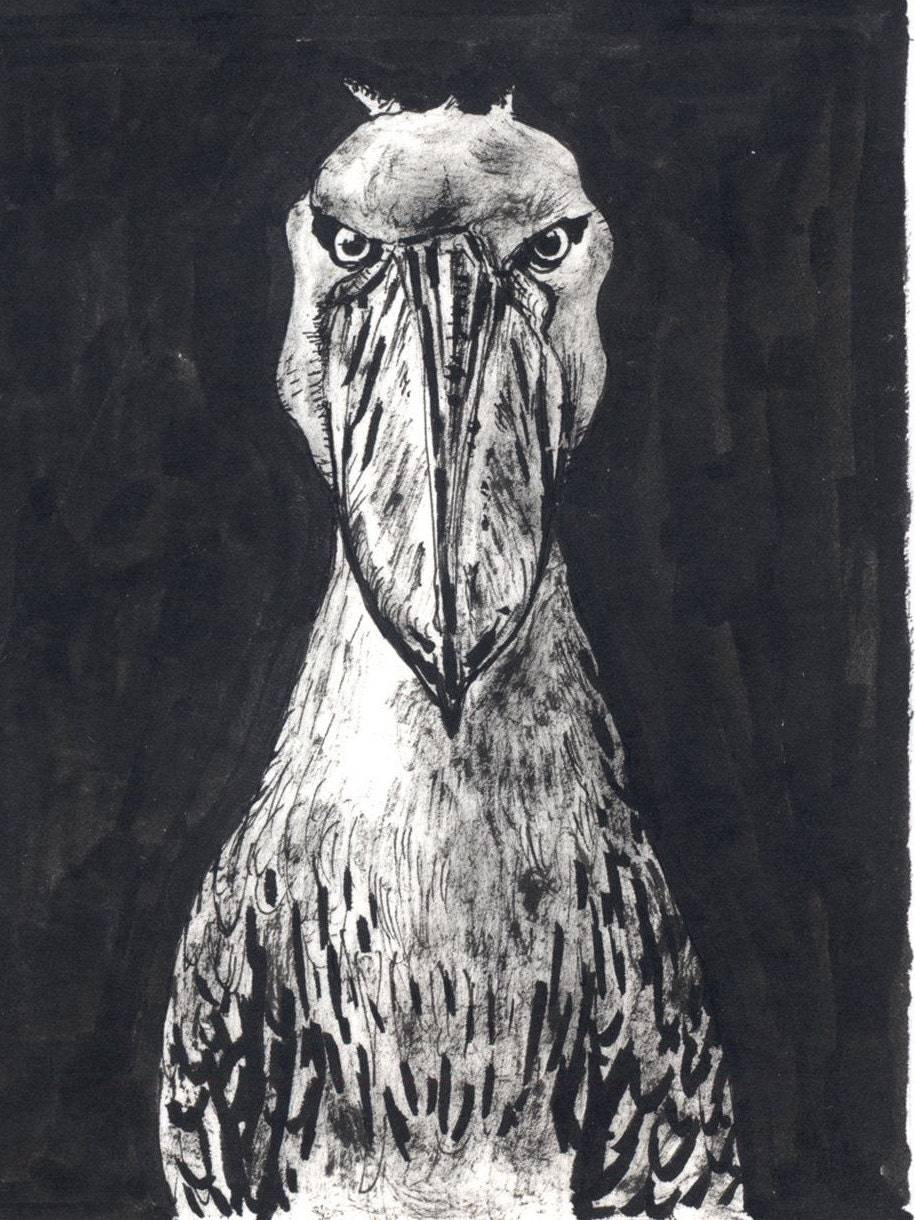 ハシビロコウ、鳥、動物の絵、インク画、アート プリント - Etsy 日本