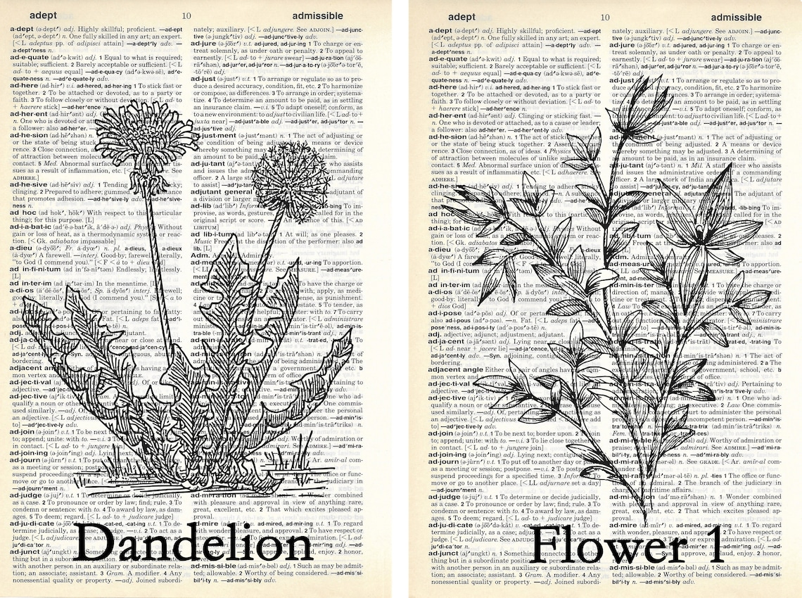 SET OF 3 Floral Flower Dictionary Print Home Decor Wall Art Etsy