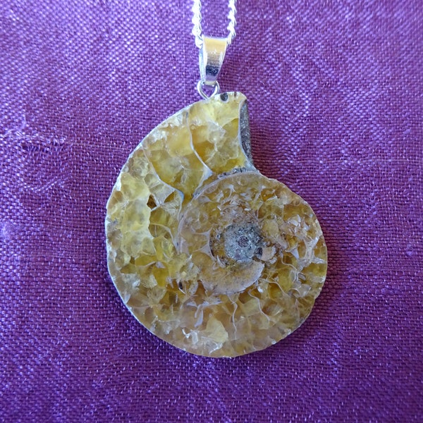 pendentif unisexe ammonite fossile couleur ambre, chaîne argentée