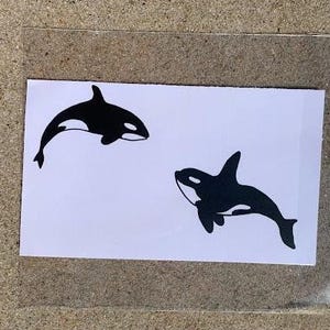 Orca Decal