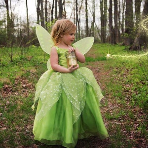 Disney Mädchen Tinker Bell Kostüm Kostüm Fee Prinzessin Cosplay Karneval Party Halloween Kostüm für Kinder Grün Tinkerbell