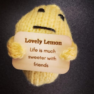 Lovely Lemon (Friend gift/best friend/positive/kind/cute gift)