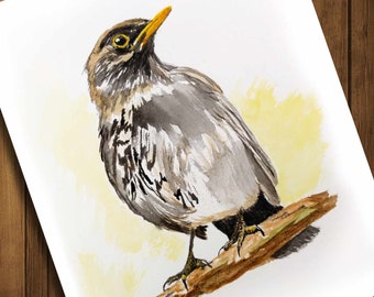 Little Bird Watercolor Painting