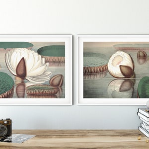 Botanical print set of 2 prints Wall art set Printable Digital Download Botanical prints White lotus flower Watercolour Downloadable prints