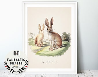 Rabbit print Woodland nursery wall art Kids room decor Printable nursery art Downloadable antique animal print Illustration Poster Bunny