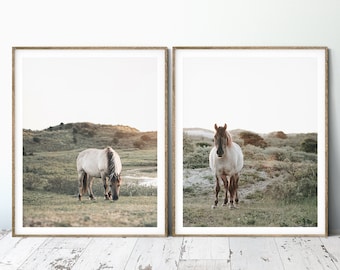 Horse wall art White horse print Landscape wall art set of 2 prints Nature photography Downloadable Printable nursery wall art Mindfulness