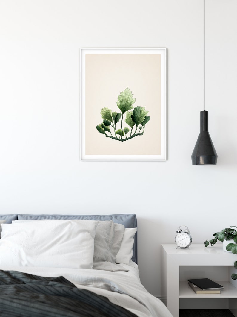 Seaweed Print Algae Green Bathroom Wall Decor Coastal Wall Art Beach House Decor Nautical