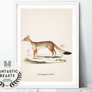 Fox print Woodland nursery wall art Kids room decor Printable nursery art Downloadable antique animal print Illustration Poster Fox art