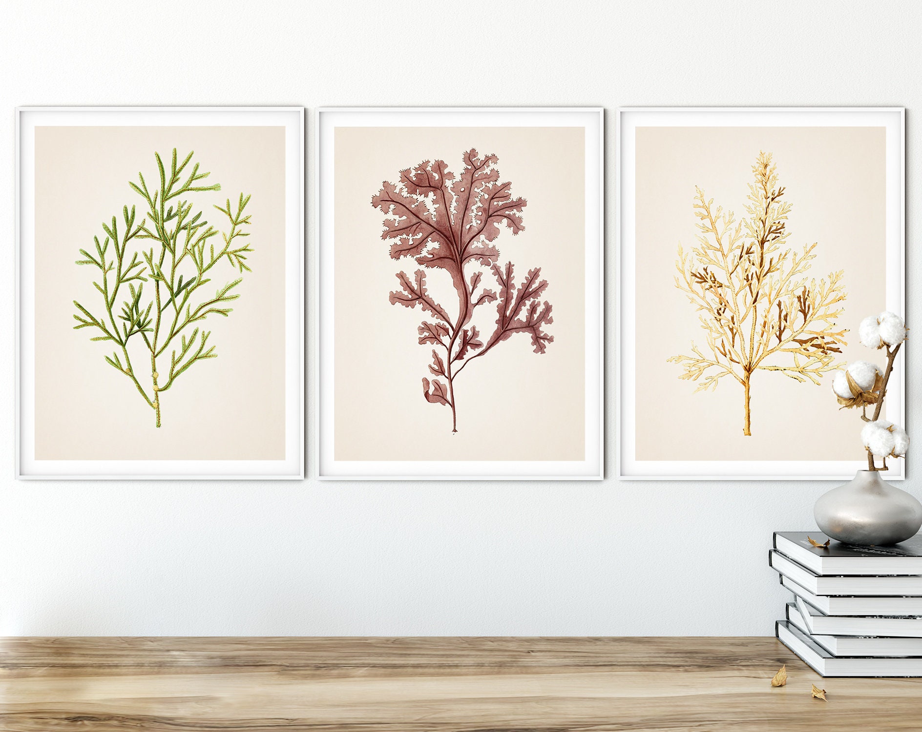 Seaweed Print Bathroom Wall Decor Set of 3 Prints Coastal Wall Etsy