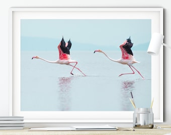 Flamingo print Bird photography Ocean print Coastal wall art Beach house decor Instant Digital Printable Downloadable Pastel Pink Tropical