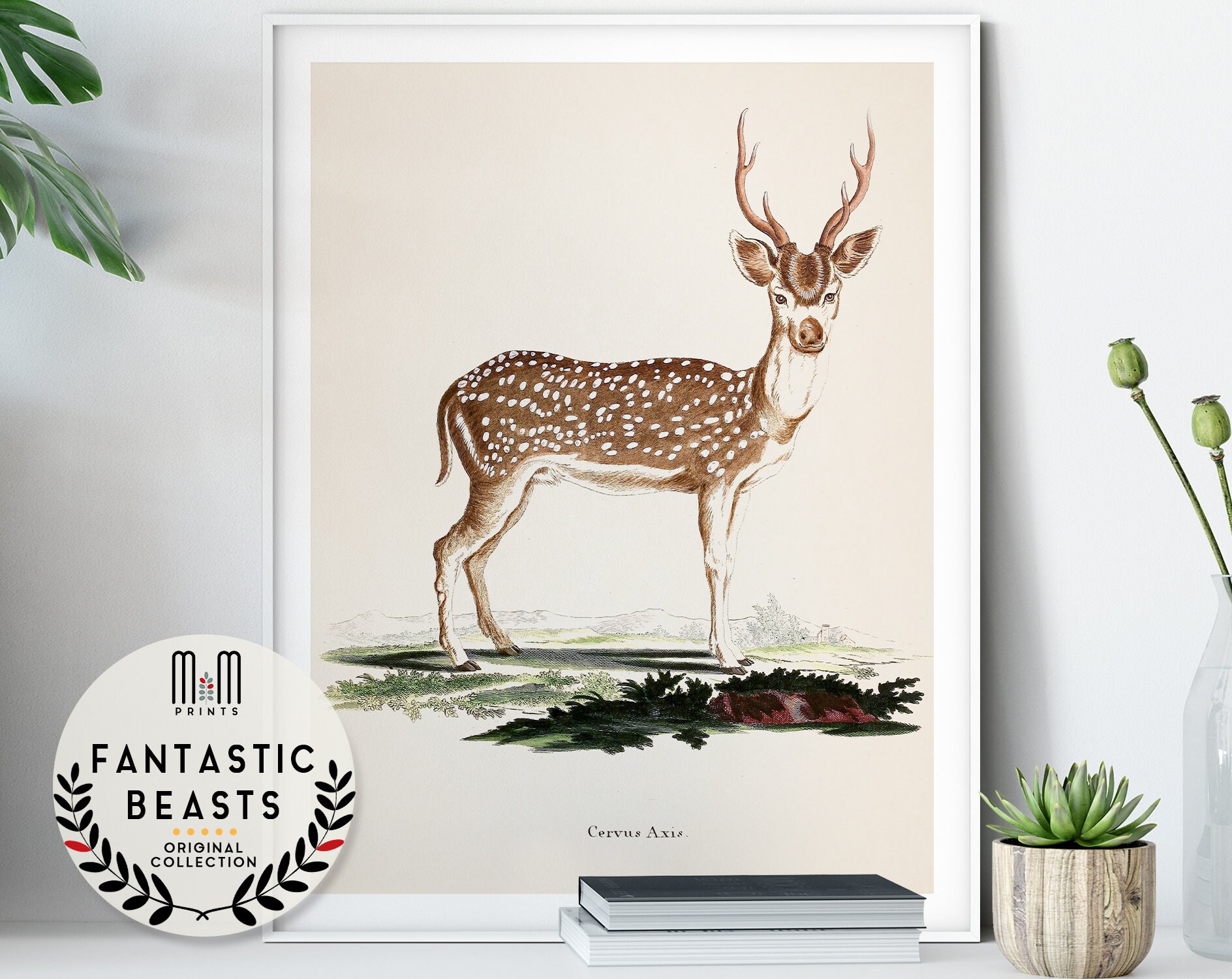 Stag print Nursery wall art Adventure Woodland nursery decor Antique illustration for kids room Set of 3 prints and more are available