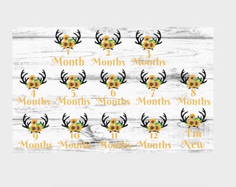 Baby Monthly milestone, Antler/Flower Digital download PNG
