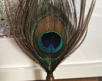 Peacock feather brooch in Various designs, hat lapel pin, wedding buttonhole, Country wear. boxed