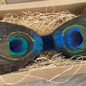 Handmade Peacock Feather Bow Tie- Style B