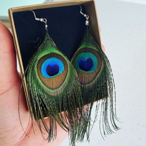 Beautiful Handmade Peacock Earring. Hypoallergenic 925 Sliver Plated. Great gift idea, comes gift boxed.