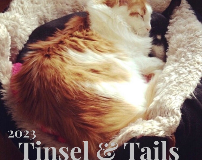 READY TO SHIP Tinsel and Tails, Yarn Advent, Yarn Advent 2023, Yarn