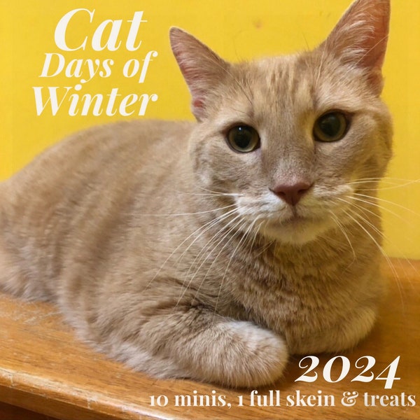 PRE ORDER, Cat Days of Winter, yarn advent, yarn advent 2024, yarn advent calendar, advent calendar, advent 2024,cat theme,cat inspired yarn