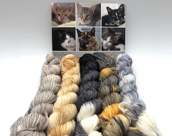 Mini Skein, Meow Mélange, Fingering, 85/15 Superwash Merino/Nylon, 400 Meters, Herd Of Cats, Denver Dumb Friends League, Kitty Yarn