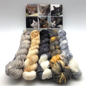 Mini Skein, Meow Mélange, Fingering, 85/15 Superwash Merino/Nylon, 400 Meters, Herd Of Cats, Denver Dumb Friends League, Kitty Yarn image 1