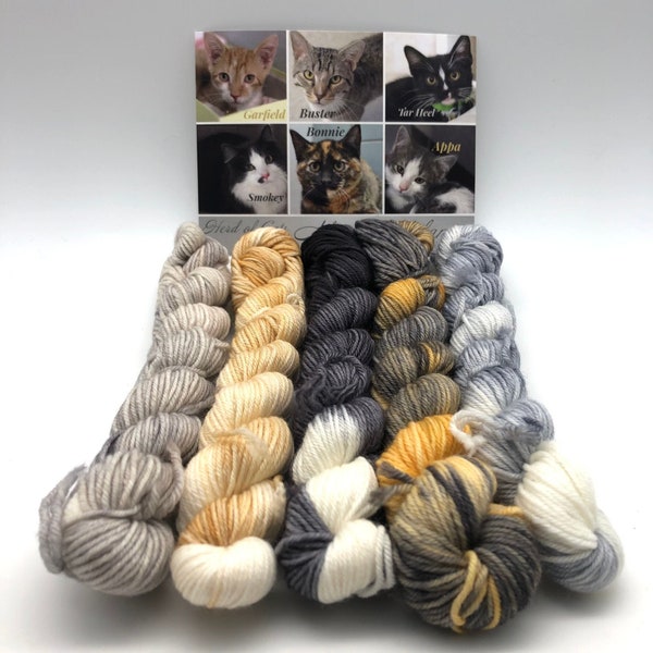 Mini Skein, Meow Mélange, Fingering, 85/15 Superwash Merino/Nylon, 400 Meters, Herd Of Cats, Denver Dumb Friends League, Kitty Yarn