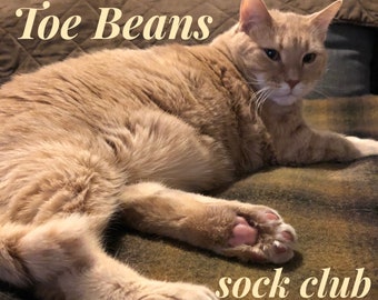 Toe Beans, Sock Club, 85/15 Superwash Merino/Nylon Blend, 480 meters total, one hank and one mini, fur coat inspiration, eye color inspired