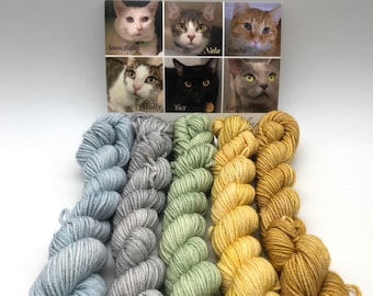 Kitty eye color inspiration, Minis, Fingering, 85/15 Superwash, Merino Nylon blend, 400 Meters, Denver Dumb Friends League, Kitty Yarn, sock