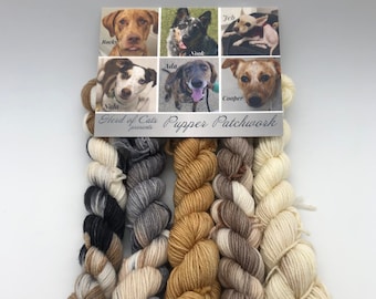 Dog color inspiration, Minis, Fingering, 85/15 Superwash, Merino Nylon blend, 400 Meters, Puppy Yarn, dog lover, gift for dog lover