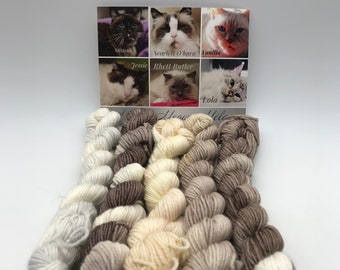 Mini Skein, Meow Mélange, Fingering, 85/15 Superwash Merino/Nylon, 400 Meters, Herd Of Cats, Denver Dumb Friends League, Kitty Inspired Yarn