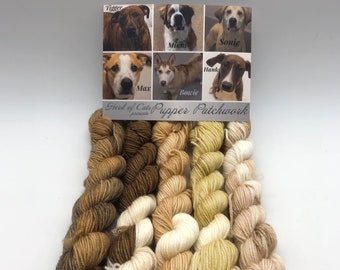 Dog color inspiration, Minis, Fingering, 85/15 Superwash, Merino Nylon blend, 400 Meters, Puppy Yarn, socks, dog lover, gift for dog lover