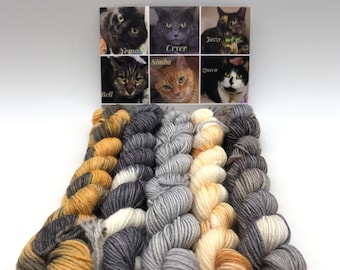 Mini Skein, Meow Mélange, Fingering, 85/15 Superwash Merino/Nylon, 400 Meters, Herd Of Cats, Denver Dumb Friends League, Kitty inspired Yarn