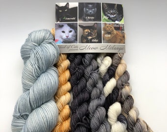 Herd of Cats, Herding Cats, Sock, Kitty inspired sock yarn, 85/15 Superwash Merino/Nylon, 800 Meters, Denver Dumb Friends League