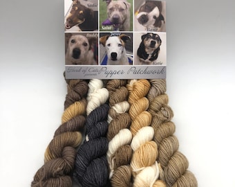 Dog color inspiration, Minis, Fingering, 85/15 Superwash, Merino Nylon blend, 400 Meters, Puppy Yarn, socks, dog lover, gift for dog lover