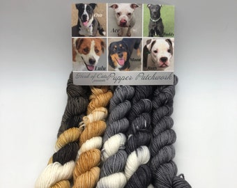 Dog color inspiration, Minis, Fingering, 85/15 Superwash, Merino Nylon blend, 400 Meters, Puppy Yarn, socks, dog lover, gift for dog lover