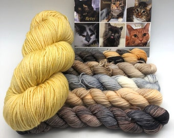 Herd of Cats, Meow Mélange, Herding Cats, Sock, 85/15 Superwash Merino/Nylon, 800 Meters, Denver, Kitty inspired Yarn, sock yarn