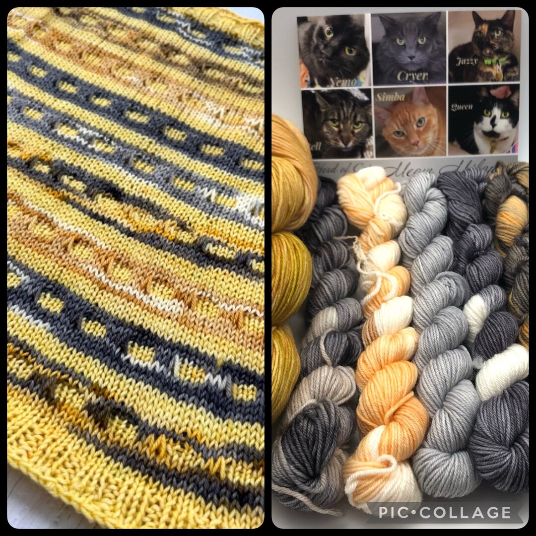 The 'furever' Eggsighting Cowl, Chic and Regal Knits, Adoptable Pet