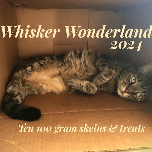 PRE ORDER, Whisker Wonderland, yarn advent, yarn advent 2024, yarn advent calendar, advent calendar, advent 2024,cat theme,cat inspired yarn