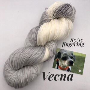 May include: A skein of yarn in a white and gray colorway. The yarn is labeled "85/15 fingering" and "Vecna".