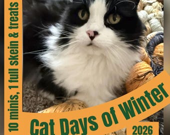 PREVENTA, Cat Days of Winter, Hilo, Adviento de hilo, 2026, Calendario de Adviento de hilo, Adviento 2026, Gato, Tema de gato, Hilo inspirado en gatos