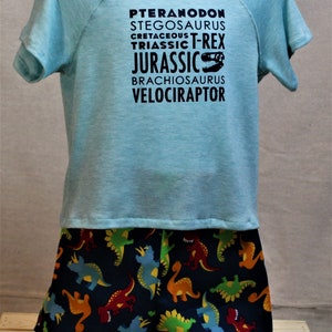 Jurassic Shorts Set