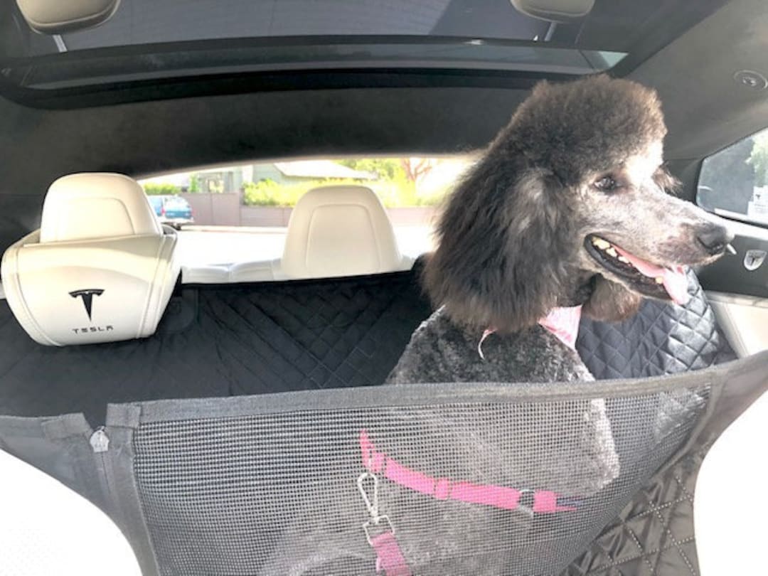 Dog Car Seat Cover For Tesla Model S/X/Y/3 - TOPCARS