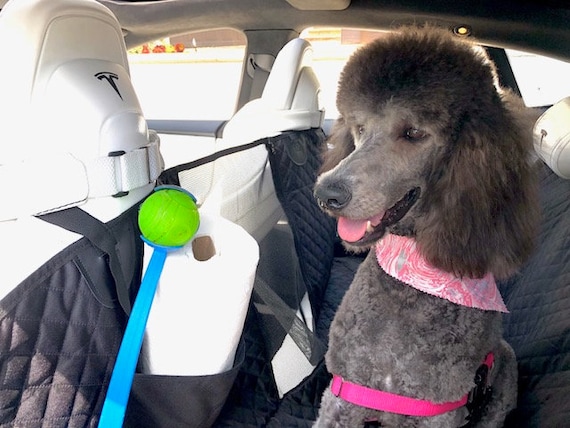 Tesla Comfort Plus Pet Car Seat Protector for Tesla Model S Model