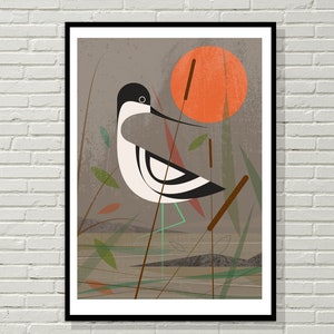 Avocet wading in the shallows, retro midcentury 1960s Illustration print/poster bird poster nature print image 4