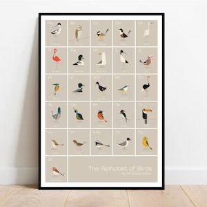 The Alphabet of Birds, A-Z of birds print retro midcentury 1960s Illustration print/poster animals scandi - children's poster, nursery print
