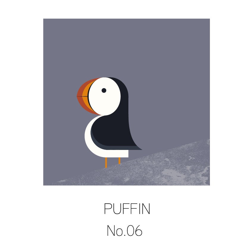 Bird colour chart - Bird print — Mr Watson Design