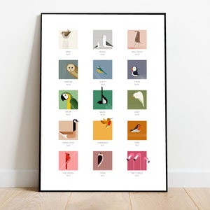 Carta de colores de aves, tarjeta de estilo de muestra de pintura, impresión/póster retro de mediados de siglo de la década de 1960 - cartel de aves - impresión de la naturaleza