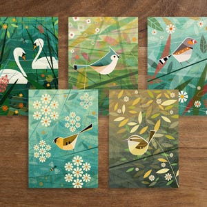 カラフルな鳥のグリーティング カード 5 枚パック。クリスマス カード、レトロなミッドセンチュリー 1960 年代のイラスト、グリーティング カード、誕生日