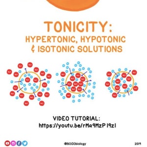 Hypertonic, Hypotonic and Isotonic Solutions Guided Notes image 1